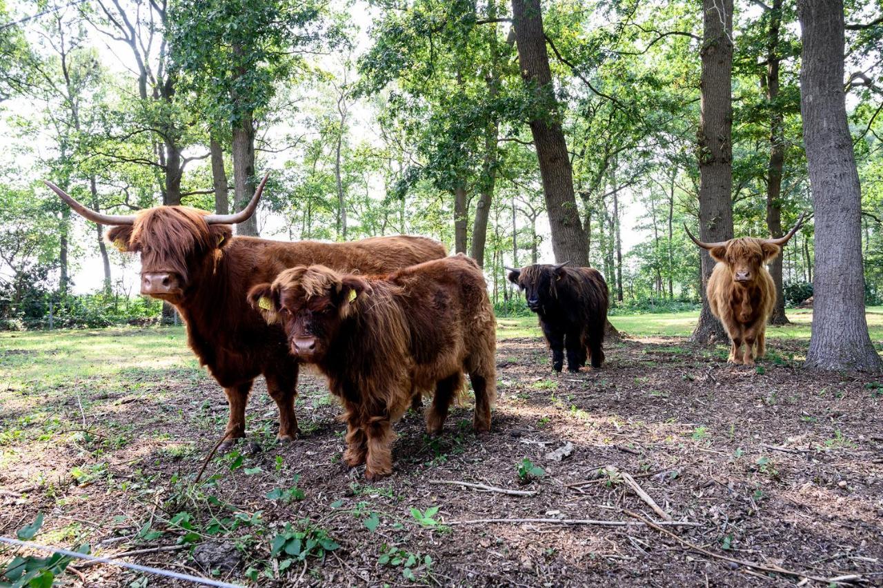 Glamping Renswoude Hotel Eksteriør billede